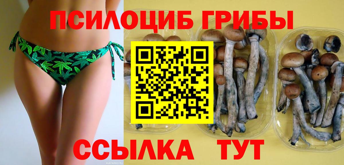 Псилоцибиновые грибы прущие грибы  Вход с VPN  Тайшет 