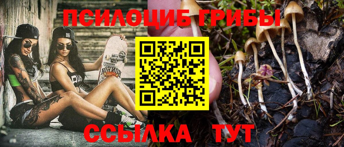 Псилоцибиновые грибы мухоморы Тайшет